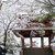 Thumbnail of 冬 雪 功山寺 03