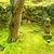 Thumbnail of 春 苔 功山寺山門