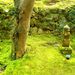Thumbnail of 春 苔 功山寺山門