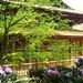 Thumbnail of 新緑 功山寺
