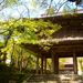 Thumbnail of 新緑 功山寺