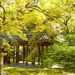 Thumbnail of 新緑 功山寺山門