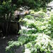 Thumbnail of yamabousi.JPG