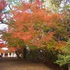 Thumbnail of 功山寺3.JPG