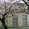 Thumbnail of 功山寺・旧博物館