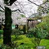 Thumbnail of 功山寺